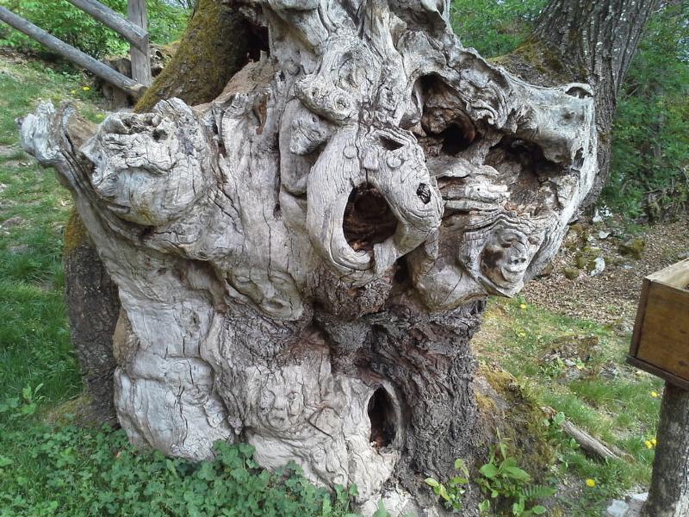 2015-04-26 11.48.30.jpg